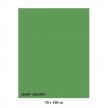 Karton kolorowy Iris jasnozielony 040-468 7010-5