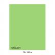 Karton kolorowy Iris pistacjowy 040-466 7010-51