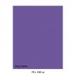 Karton kolorowy Iris fioletowy 040-457 7010-6