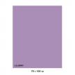 Karton kolorowy Iris liliowy 040-456