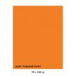 Karton kolorowy Iris j.pomarańcz 040-447 7010-42