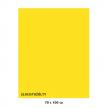 Karton kolorowy złocistożółty Iris 040-444 7010-11